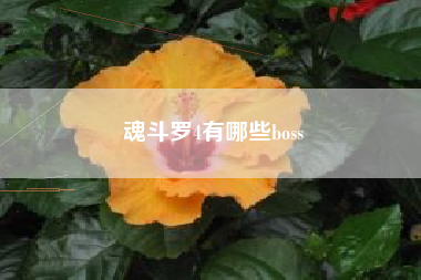 魂斗罗4有哪些boss