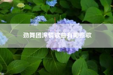 劲舞团深情歌曲有哪些歌