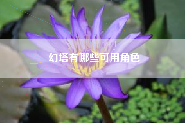 幻塔有哪些可用角色