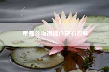 星露谷物语操作键有哪些