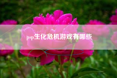 psp生化危机游戏有哪些