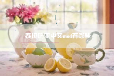 泰拉瑞亚中文mod有哪些