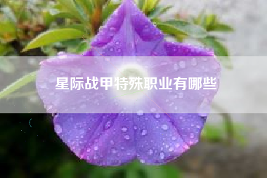 星际战甲特殊职业有哪些