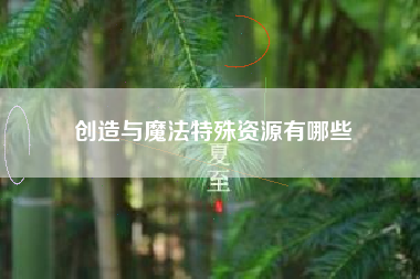 创造与魔法特殊资源有哪些