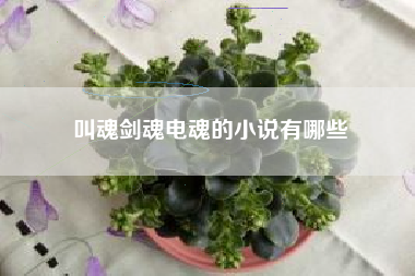 叫魂剑魂电魂的小说有哪些