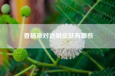 香肠派对透明皮肤有哪些