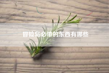 冒险岛必带的东西有哪些