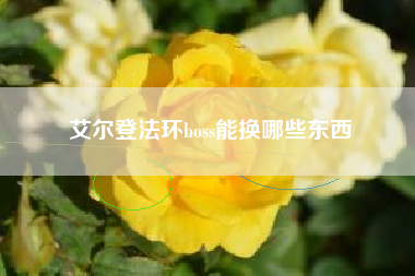 艾尔登法环boss能换哪些东西