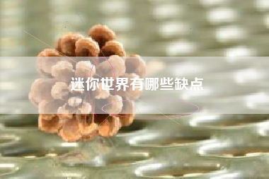 迷你世界有哪些缺点