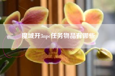 魔域开3npc任务物品有哪些