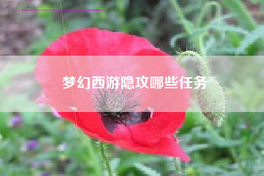 梦幻西游隐攻哪些任务