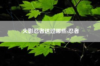 火影忍者送过哪些s忍者