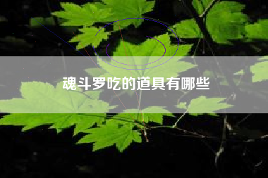 魂斗罗吃的道具有哪些