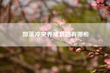 部落冲突养成套路有哪些