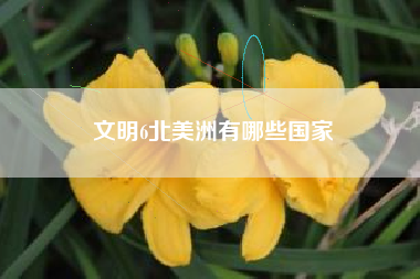 文明6北美洲有哪些国家