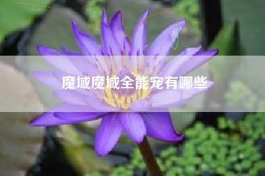 魔域魔域全能宠有哪些