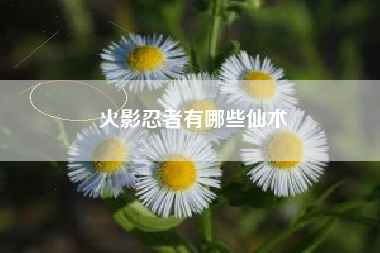 火影忍者有哪些仙术