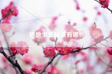 绝地求生缺点有哪些