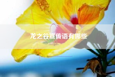 龙之谷宣传语有哪些