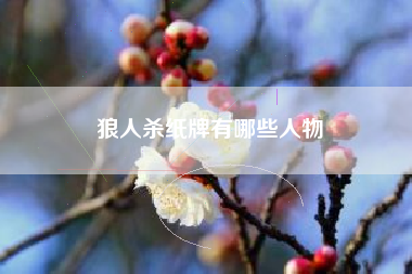 狼人杀纸牌有哪些人物