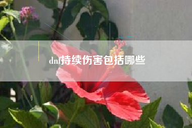 dnf持续伤害包括哪些