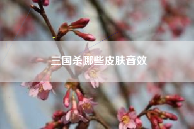 三国杀哪些皮肤音效