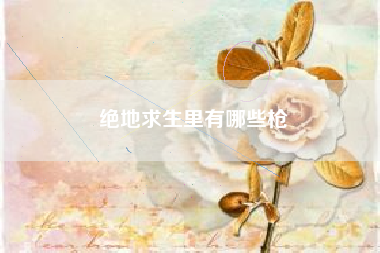 绝地求生里有哪些枪