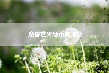 魔兽世界硬币有哪些