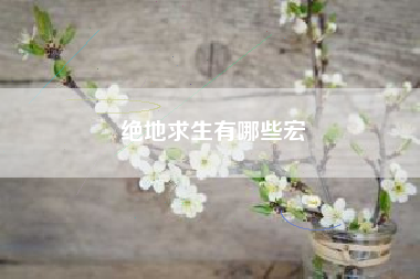 绝地求生有哪些宏