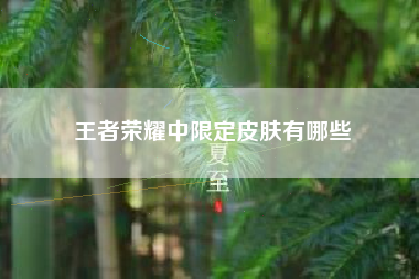 王者荣耀中限定皮肤有哪些