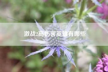 激战2高伤害英雄有哪些