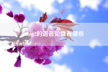 dota2的语音轮盘有哪些