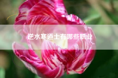 逆水寒道士有哪些职业