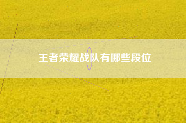 王者荣耀战队有哪些段位