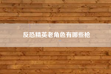 反恐精英老角色有哪些枪