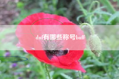 dnf有哪些称号buff