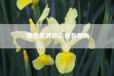 魔兽世界物品包有哪些