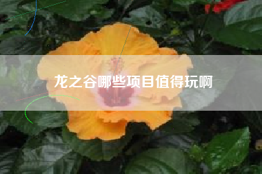 龙之谷哪些项目值得玩啊