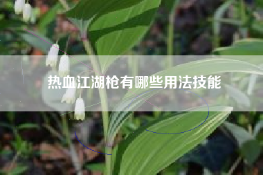 热血江湖枪有哪些用法技能