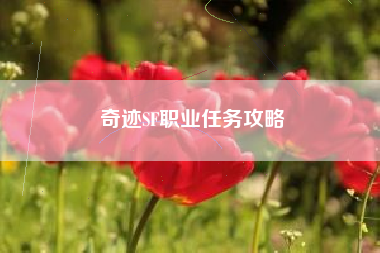 奇迹SF职业任务攻略