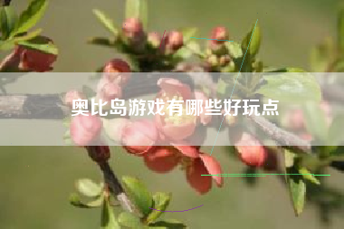 奥比岛游戏有哪些好玩点