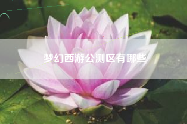 梦幻西游公测区有哪些