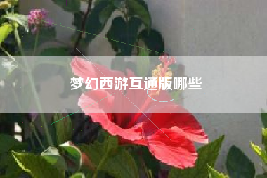 梦幻西游互通版哪些