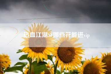 热血江湖SF哪些符能进vip