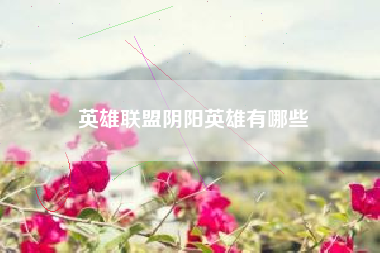 英雄联盟阴阳英雄有哪些