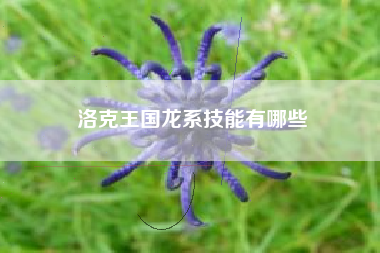 洛克王国龙系技能有哪些