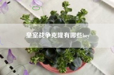 皇室战争克隆有哪些bey