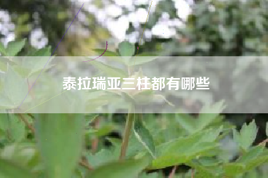 泰拉瑞亚三柱都有哪些