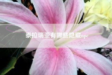 泰拉瑞亚有哪些隐藏npc