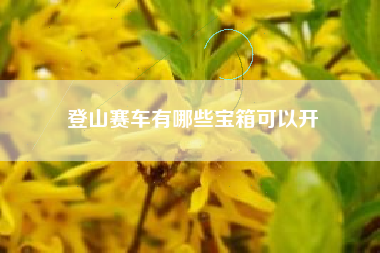 登山赛车有哪些宝箱可以开